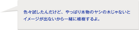 お客様：色々試したんだけど、やっぱり本物のヤシの木じゃないとイメージが出ないから一緒に植樹するよ。